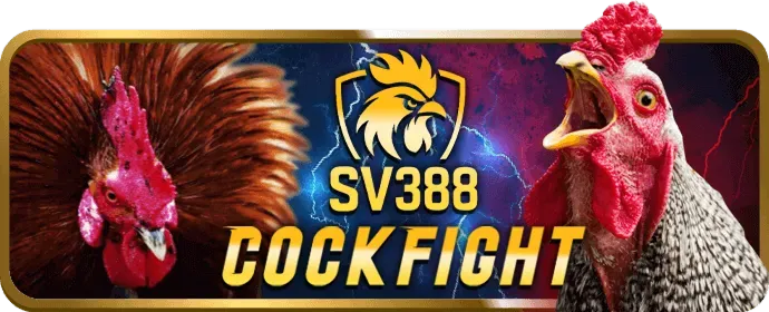 Dragon Tiger tại big88 nhà cái